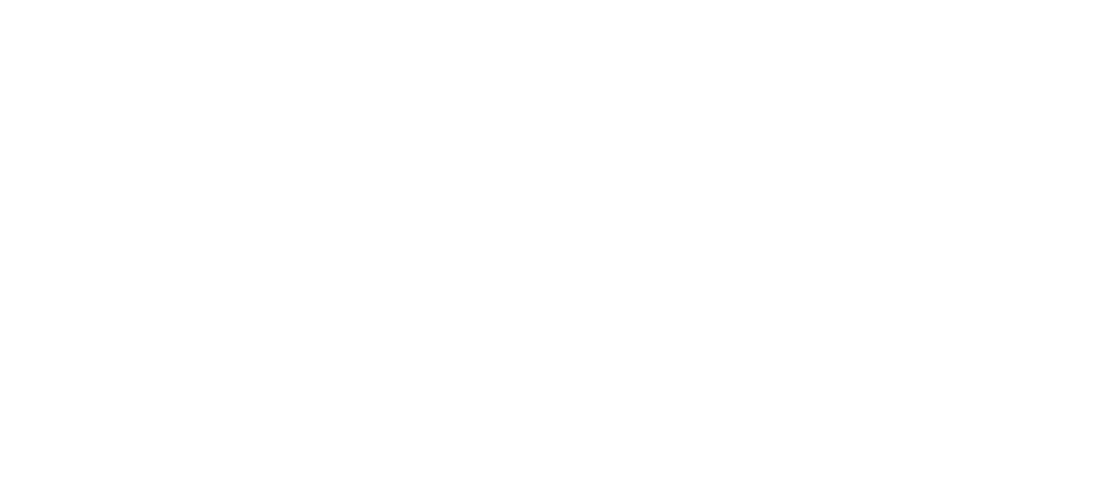 DIST FUTURO SPA